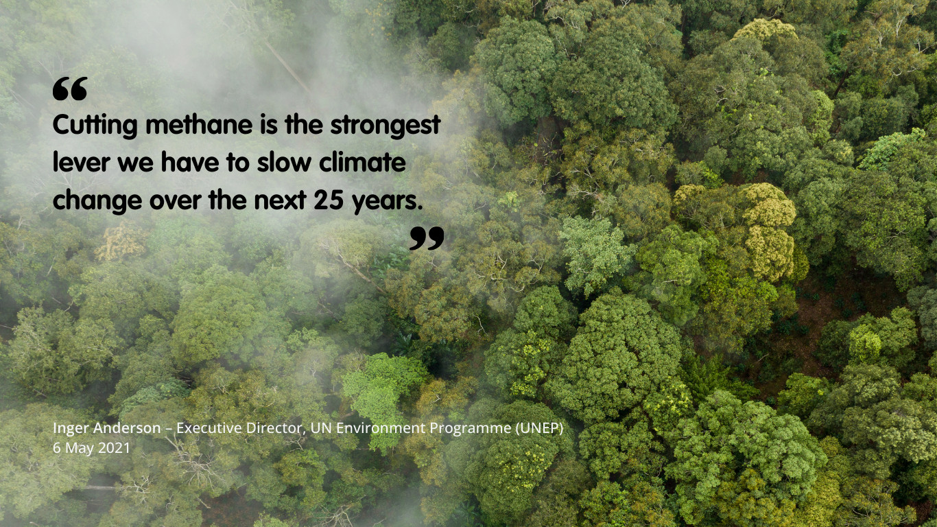 Aerial photo of a forest, with quote "Cutting methane is the strongest lever we have to slow climate change over the next 25 years.", attributed to Inger Anderson - Executive Director of UNEP, 6th May 2021